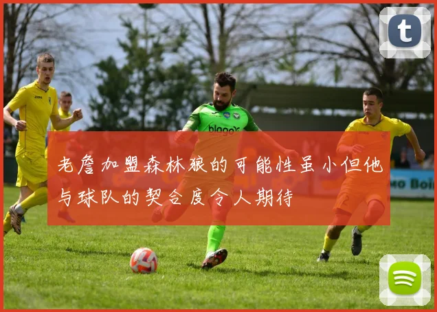 老詹加盟森林狼的可能性虽小但他与球队的契合度令人期待